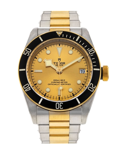 Tudor Black Bay M79733N-0004
